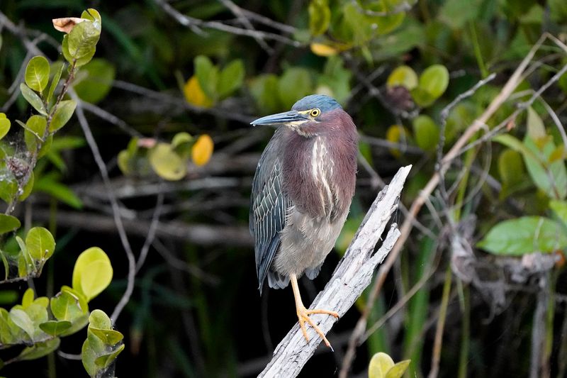 Best Times To Visit And What The Seasons Actually Feel Like