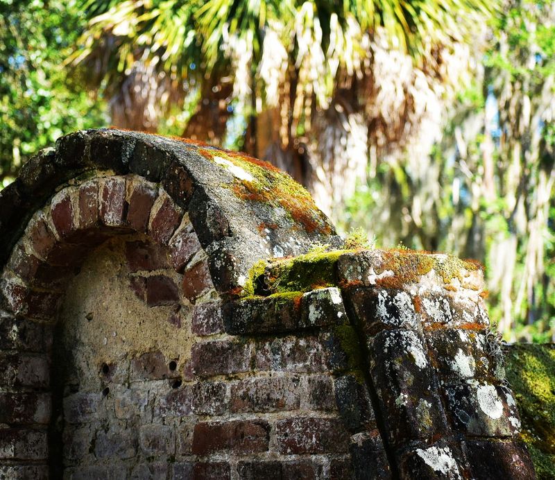 Moss-Covered Cemeteries And The Quiet Stories They Tell