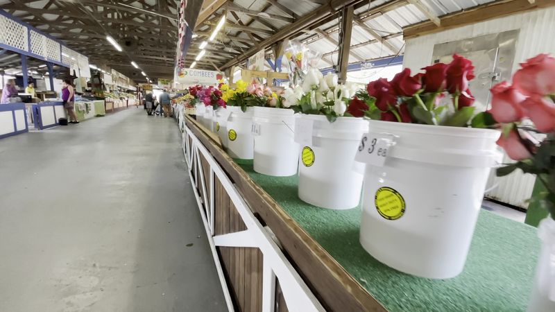 Cultural Celebrations And Community Events