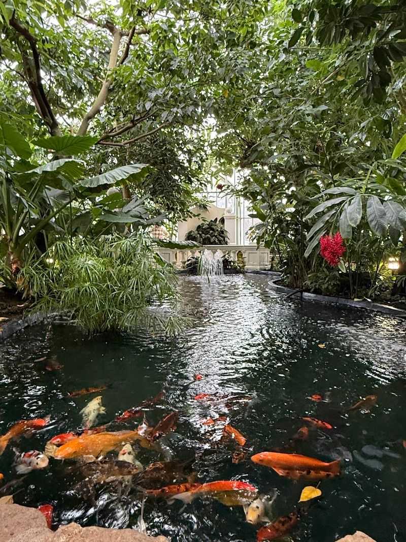 Tips That Will Make Your Visit Even Better