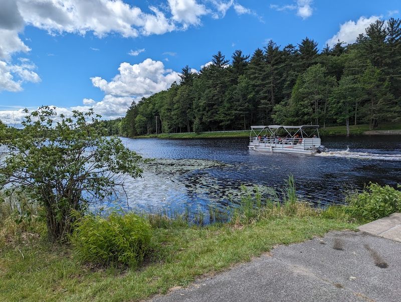 Tips For Planning Your 2026 Visit To Black Moshannon