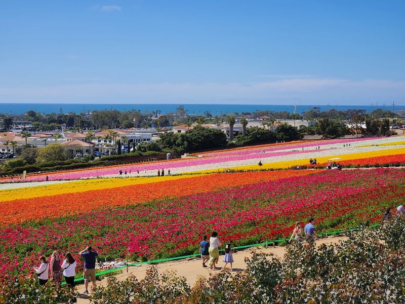 When To Visit For The Most Spectacular Blooms