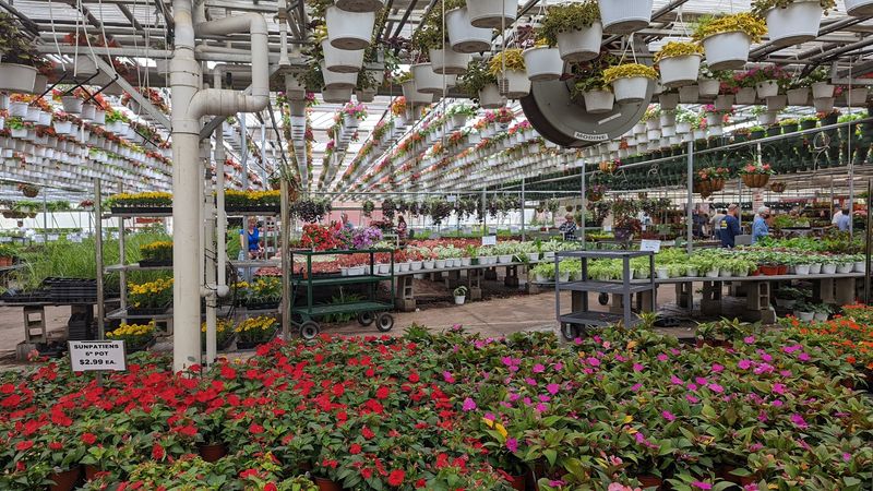 A Farm That Feels Like A Different Era