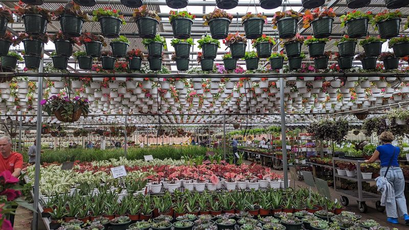 Spring Season: Vegetables And Outdoor Plants