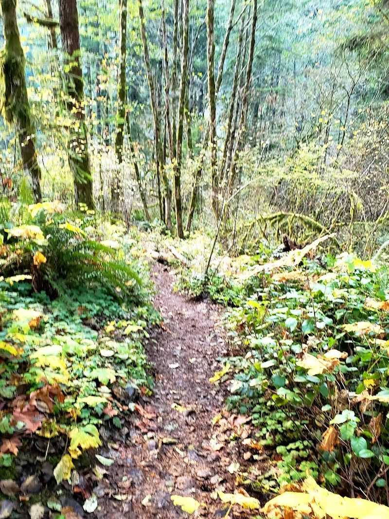 Finding The Trailhead Without Losing Your Mind