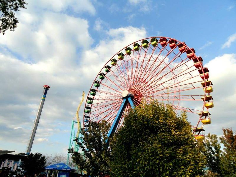 Rides And Zones That Bring Out The Kid In Everyone