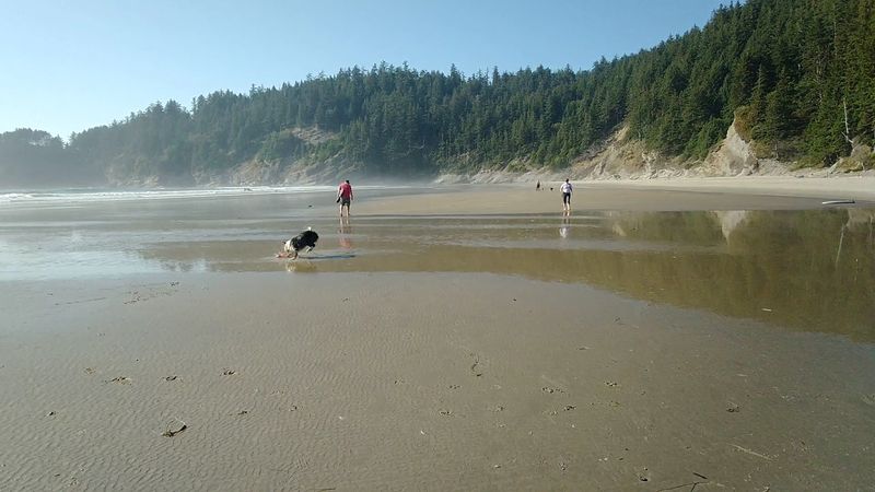 Oswald West State Park Just Down The Road