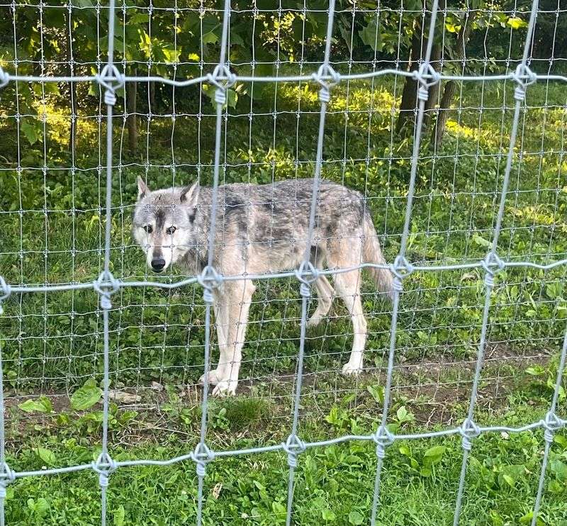 Why This Visit Is Perfect For Families