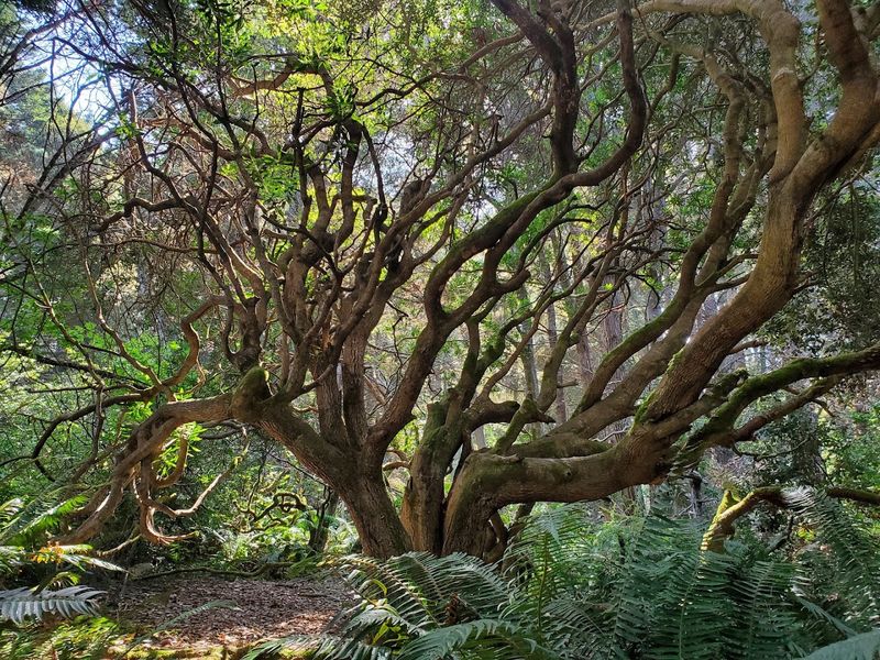 A Single Visit Turns This Place Into A Must-Return Destination