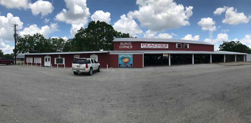 Sandwiches and Light Bites for the Road