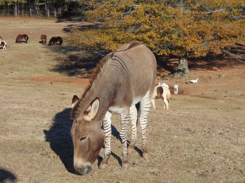 What You Should Know Before You Go