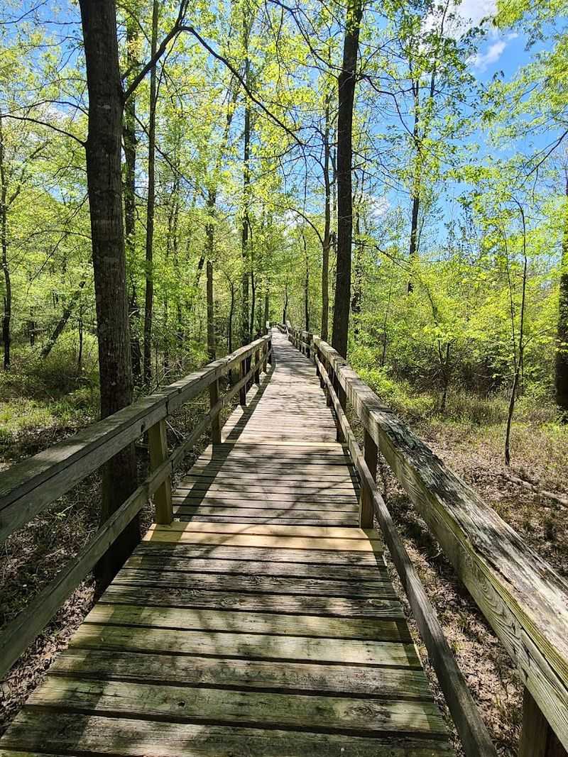 Hiking Routes That Deliver Real Rewards