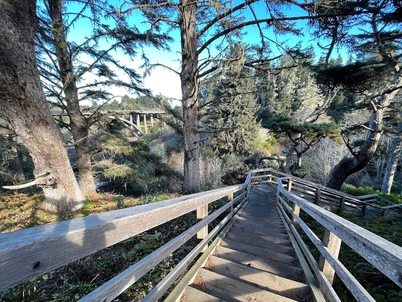 Why The Ecological Staircase Is Unlike Any Trail