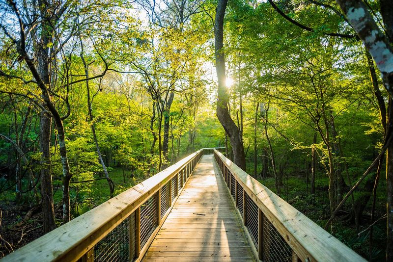 More Than Just One Pretty Run