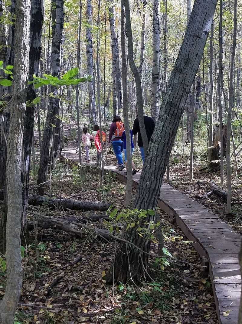 A Perfect Afternoon Without A Full Day Commitment