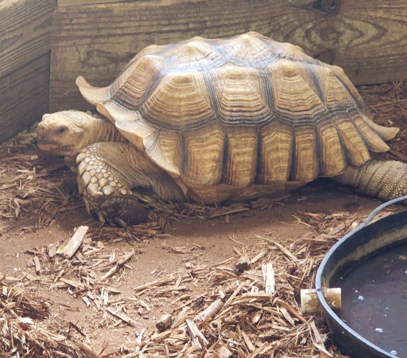 The Indoor Animal Exhibit Hall