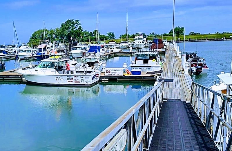Morning At The Marina, A Different Side Of The Park