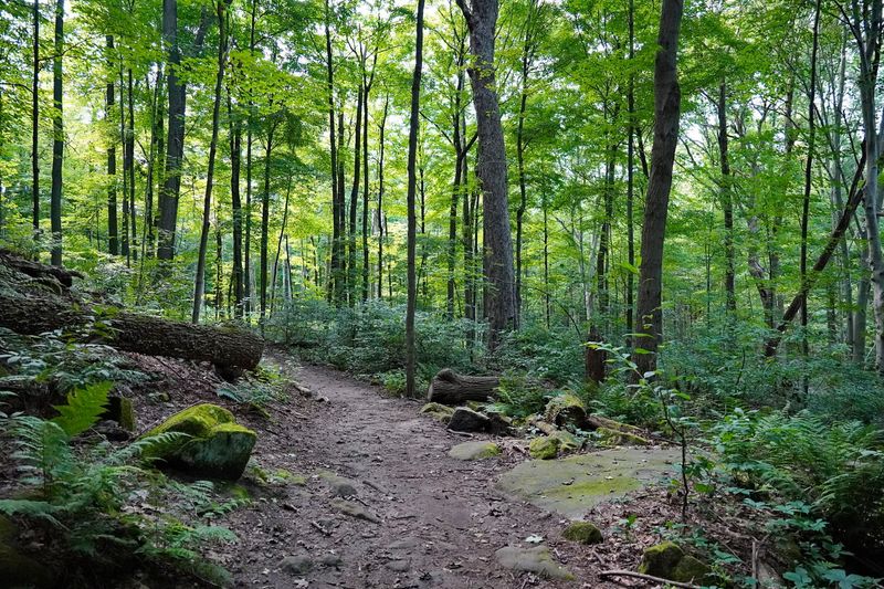 Trail Difficulty And Best Hiking Tips For Visitors