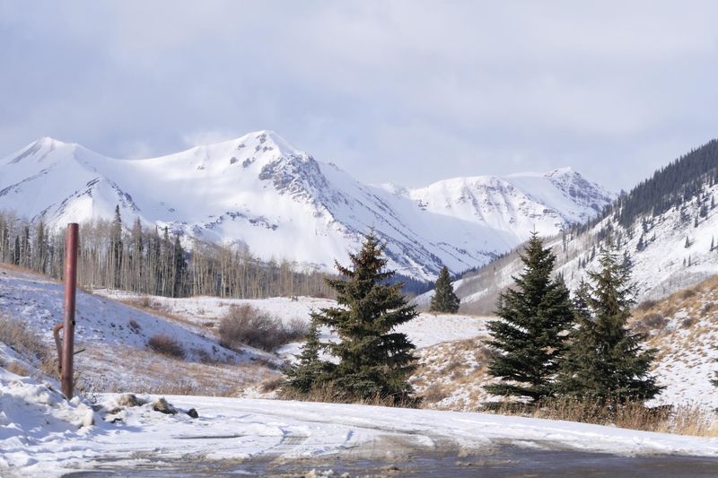 Snowcat And Heli-Skiing Adventures