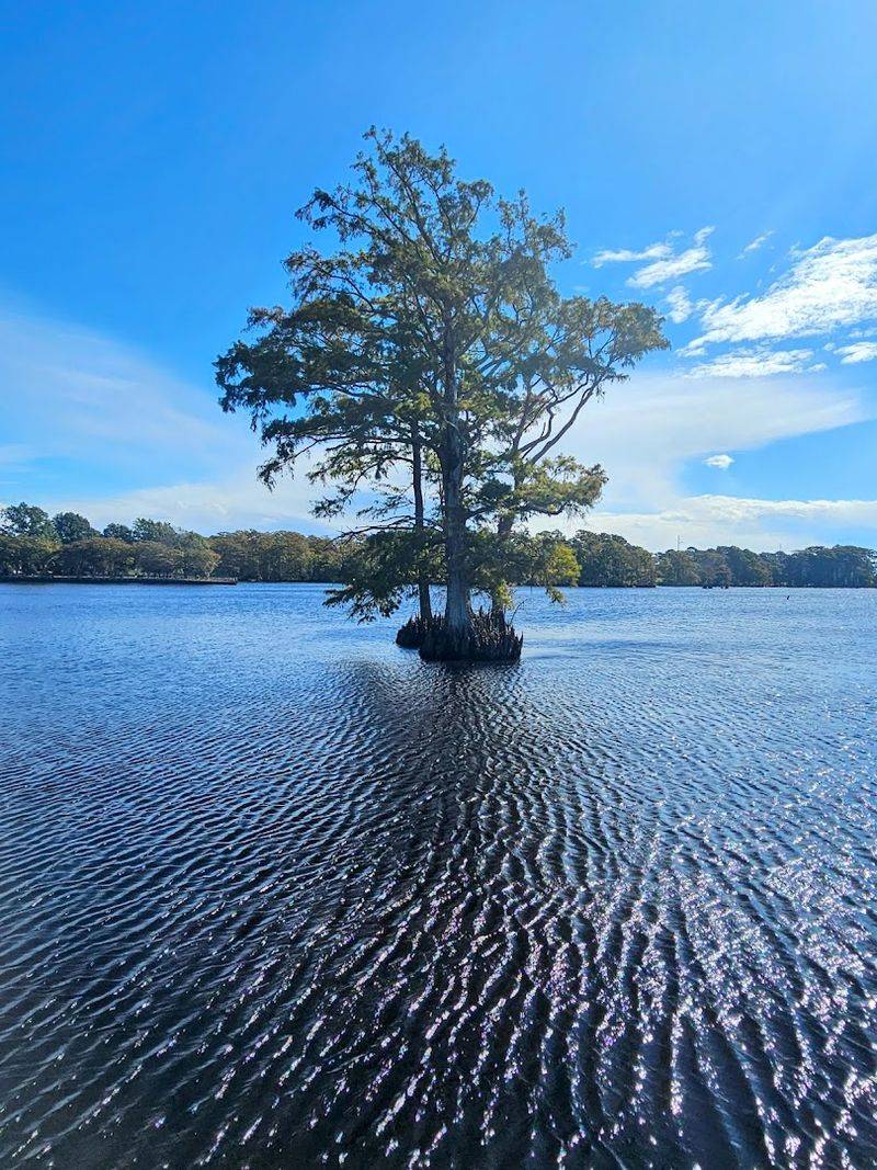 Paddling And Exploring The Inner Banks Waterways