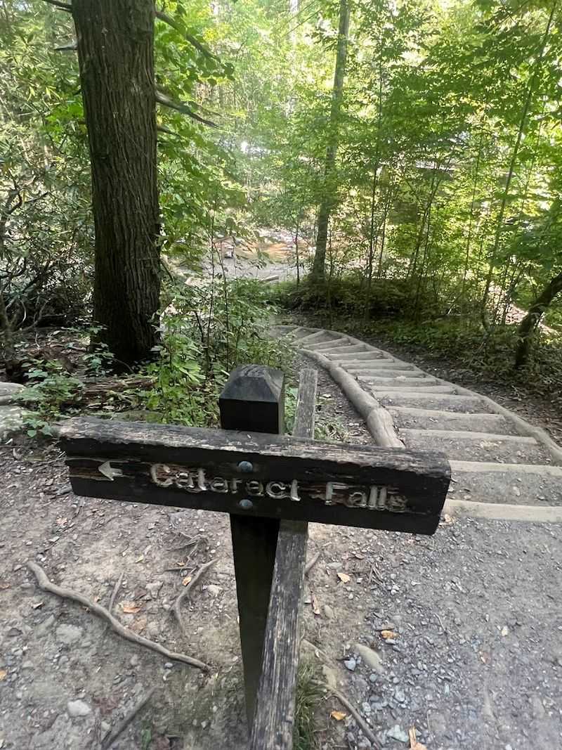 The Best Season To See The Trail At Its Most Beautiful