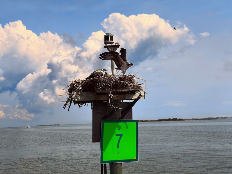 Wildlife And Birding That Surprises Every Visitor