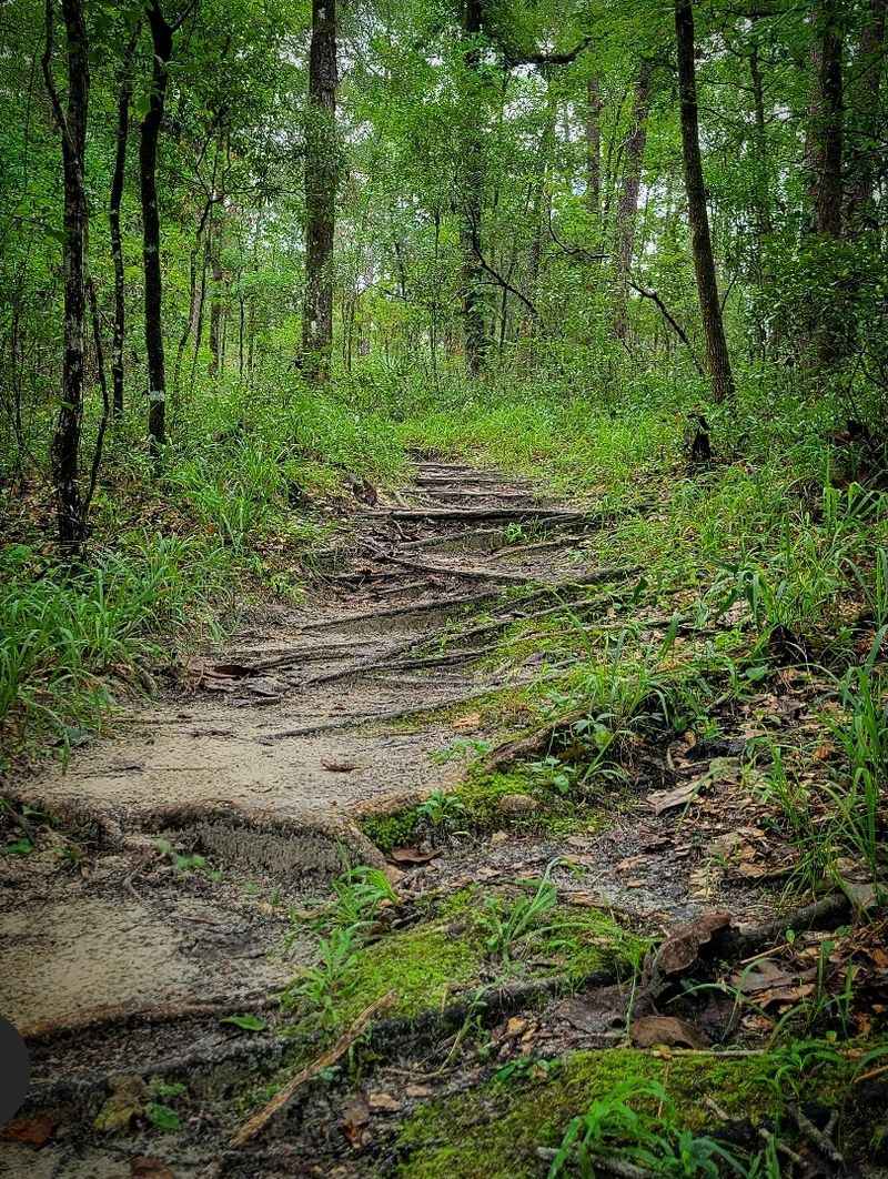 Gopher Hole Cave And A Peek Into The Underground