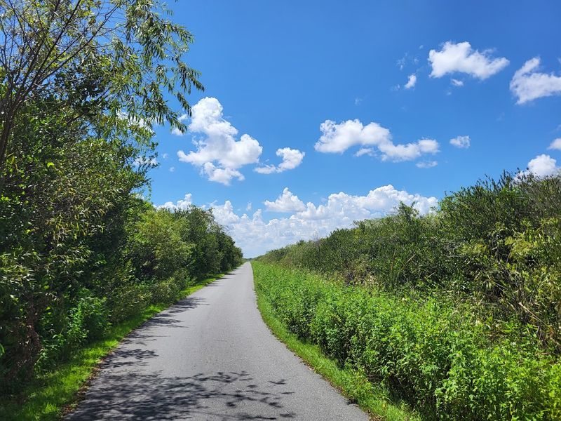 Sawgrass Prairies Stretching As Far As The Eye Can See