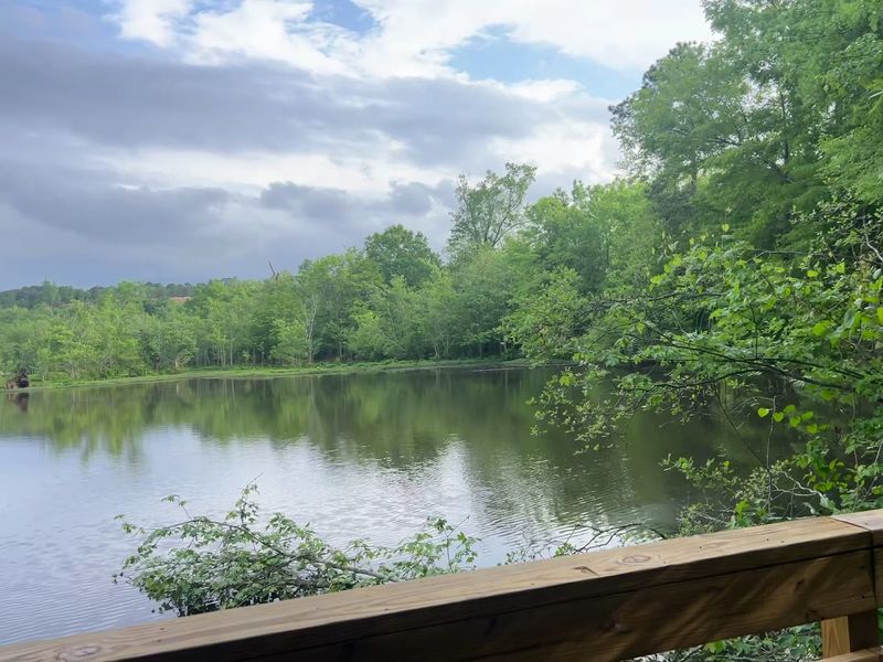 Perfect Photo Spots For Brave Visitors