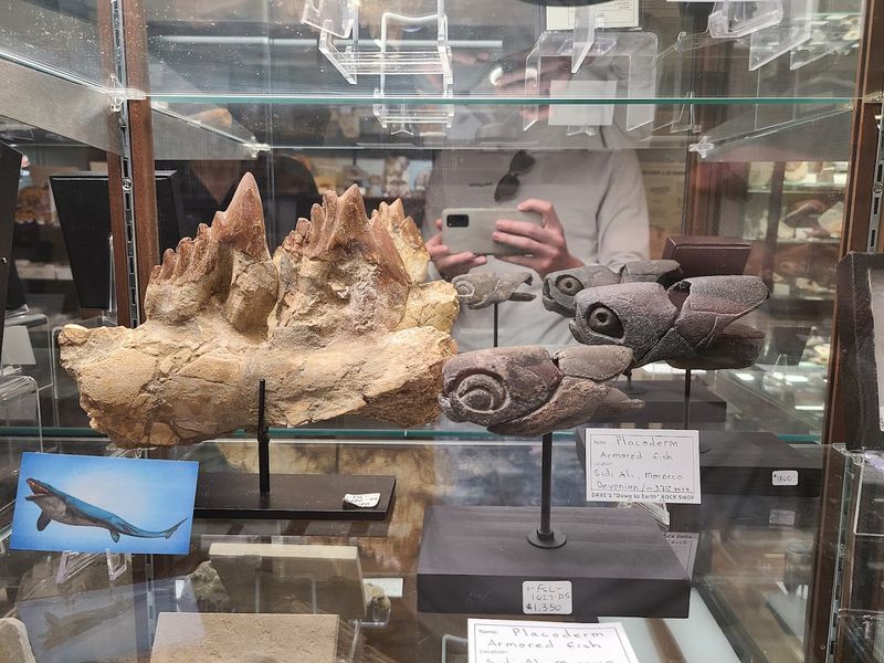 Guided Walks That Bring Ancient Creatures Into Focus