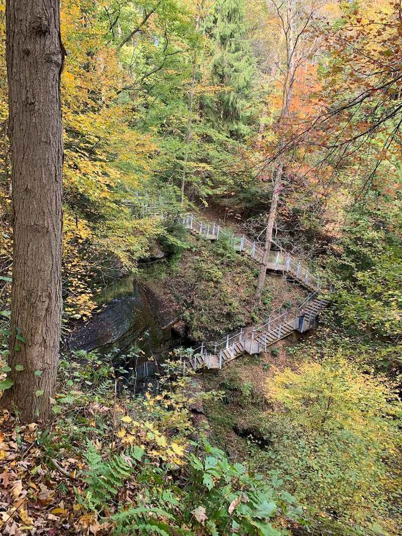 Fall Foliage And Scenic Drives Through Indiana County