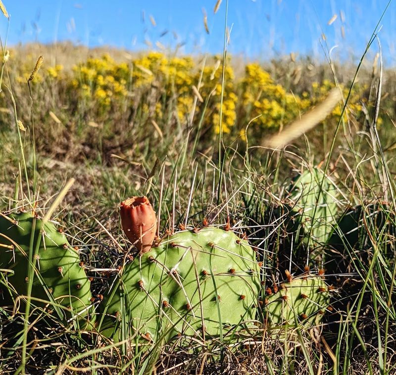 Seasonal Changes That Make Visits Unique