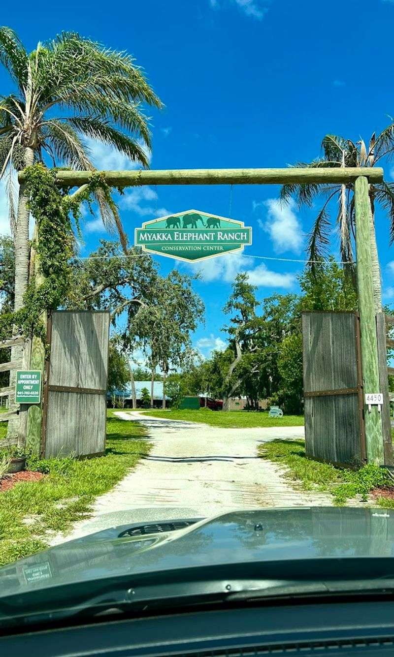 Where Exactly To Find It