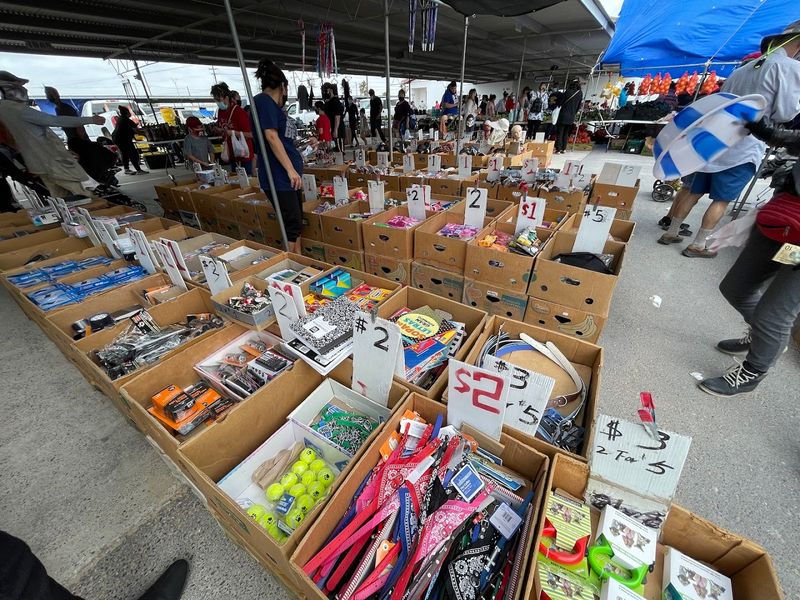 What To Expect When You First Arrive