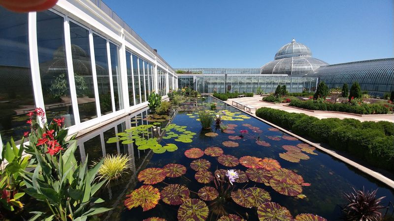 What Free Really Means Here