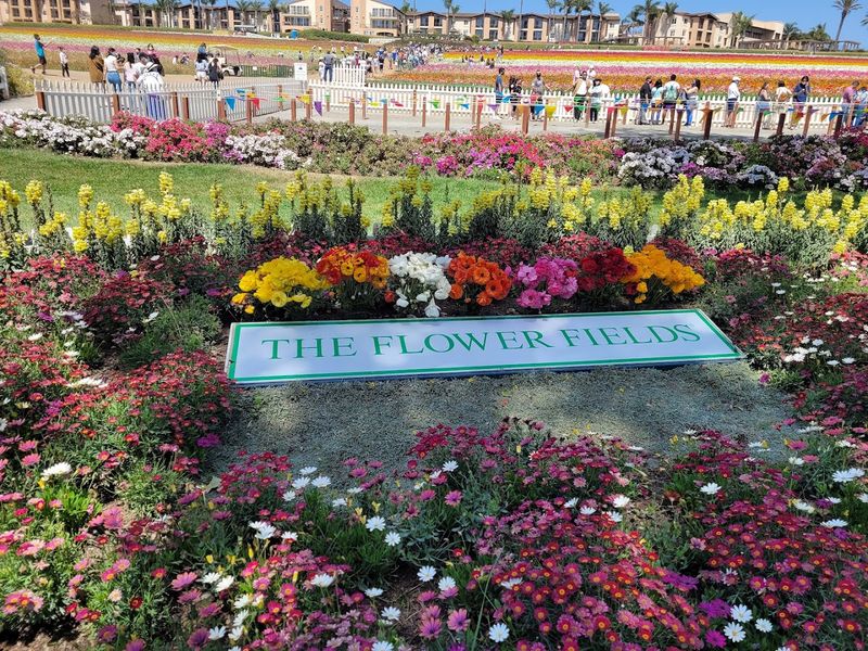 Getting There And Practical Information For First-Time Visitors