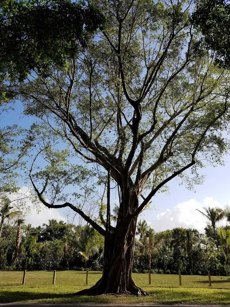 Getting There And Finding Your Way Around