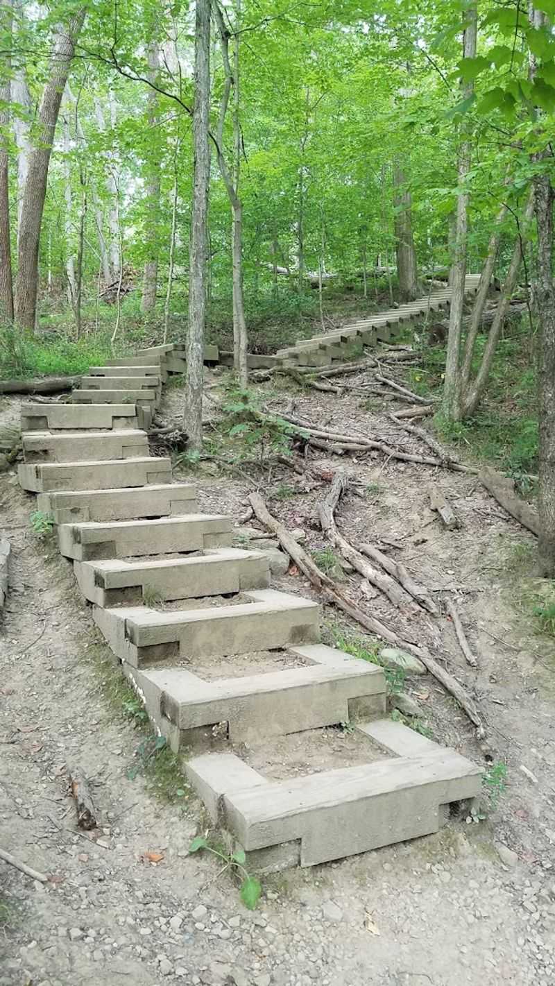 History Hidden Along The Path