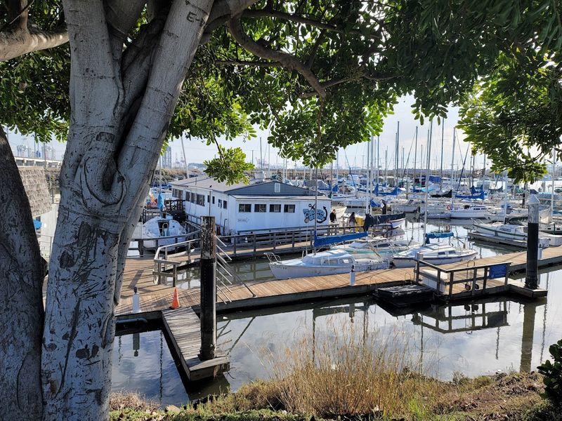 When To Visit And What To Expect