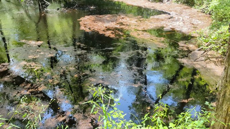 Why Leon Sinks Deserves A Spot On Your Florida Bucket List