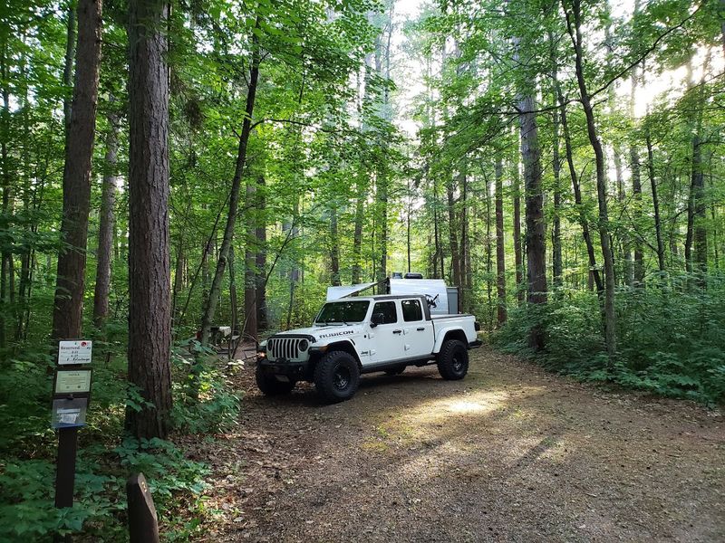 What The Surrounding Forest Adds To The Experience