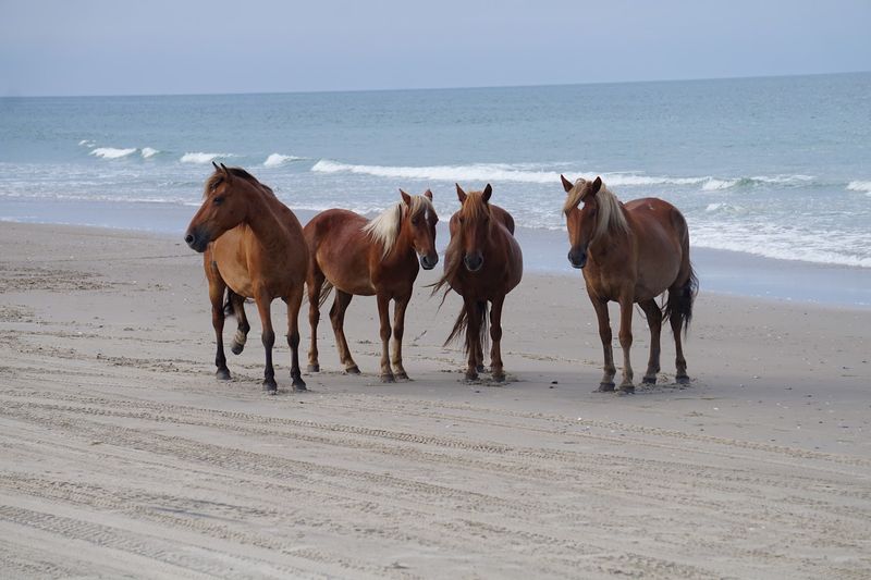 What To Expect From The Local Vibe