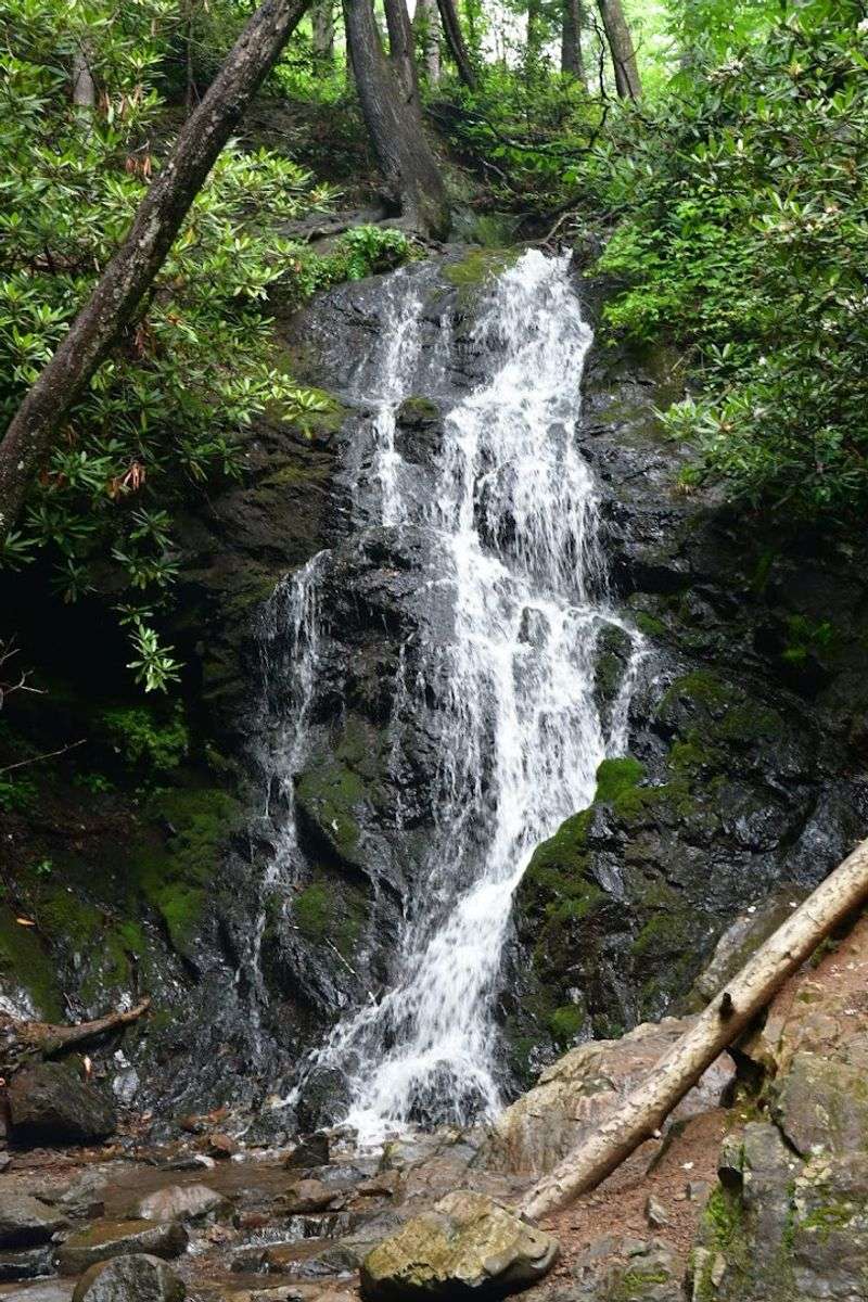 A Short Hike With A Big Scenic Reward