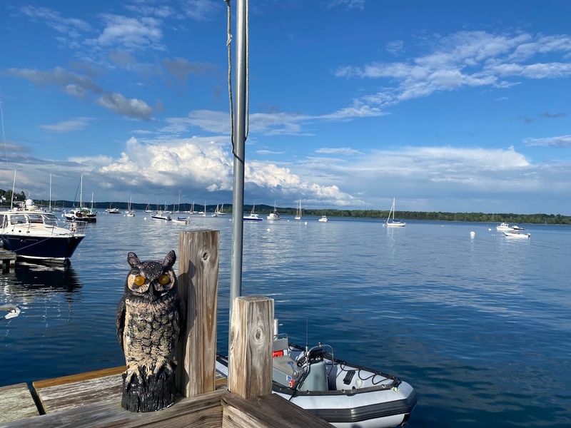 Why Castine Feels Like Maine's Best-Kept Coastal Secret