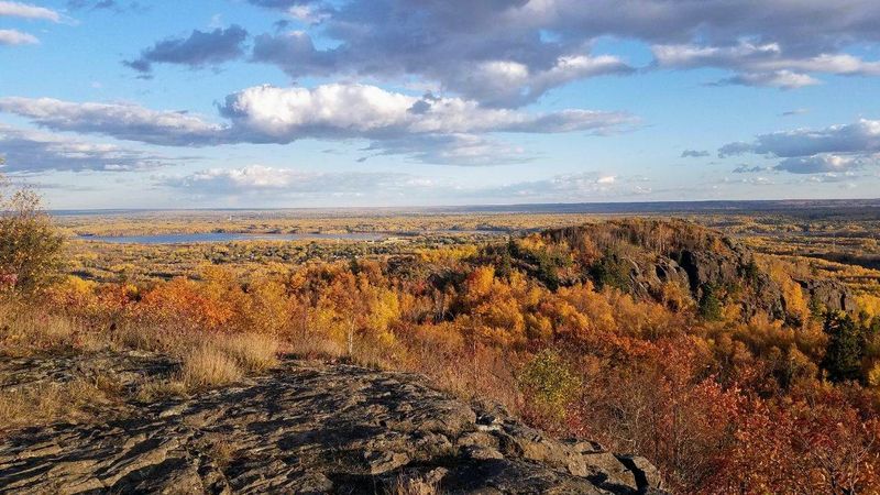 The Trail That Keeps You Guessing