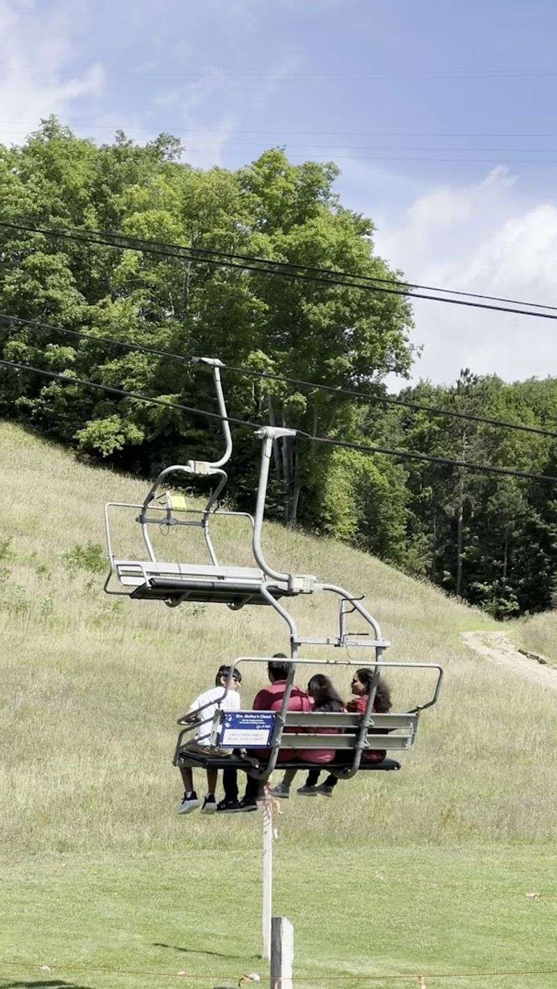 The Mountain Coaster That Started It All
