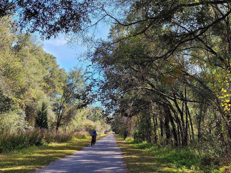The Trail That Starts It All