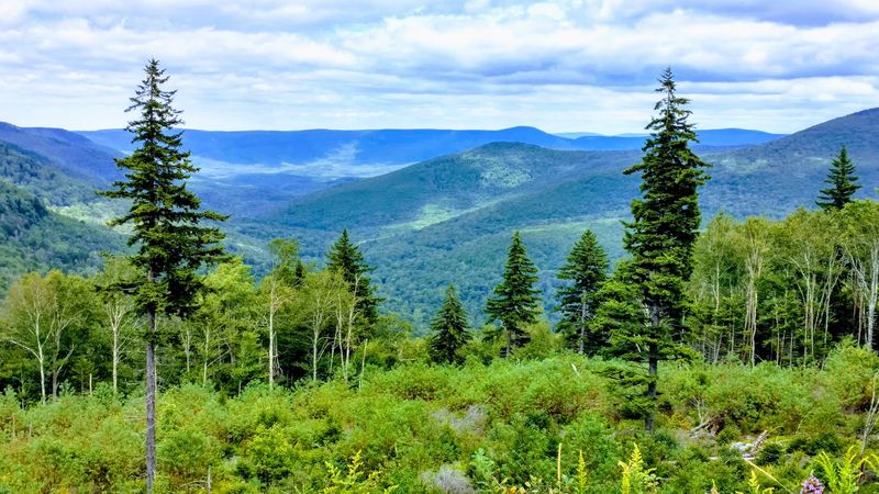 A Landscape That Plays With Your Eyes