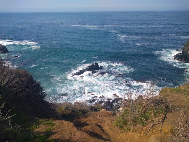 My First Discovery At Jade Cove