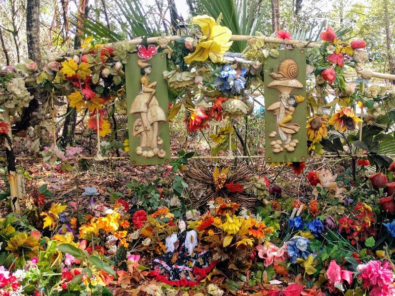 A Magical World Brimming With Fairy Magic